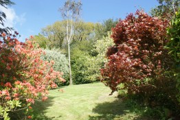 Darrynane Gardens