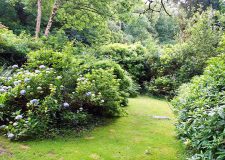 Lodge Cottage Private Garden Area