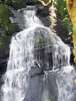 Darrynane Falls, on a private section of Toe River and enjoyed by visitors to Darrynane Holiday Cottages, St Breward
