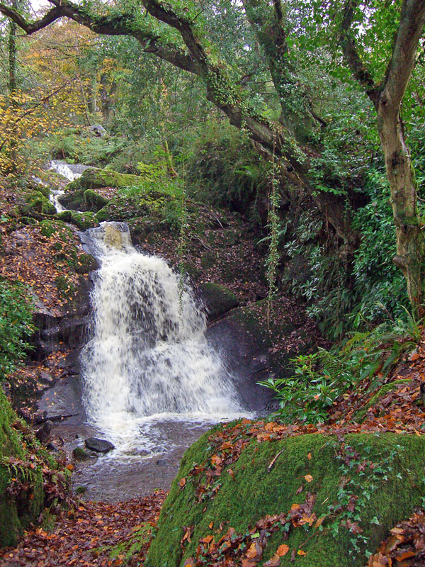 Autumnal falls - looking lovely as the leaves drop