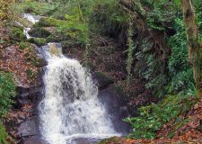 Waterfall-at-darrynane