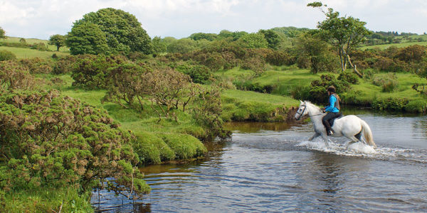 Our daughter enjoying horse riding out on Bodmin Moor, a short distance from her home where she helps in the holiday cottage business sometimes