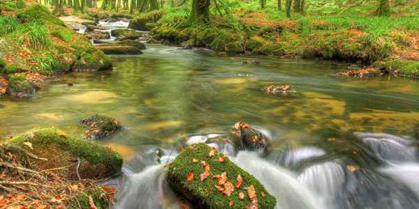 River Tor, a lovely little moorland stream near Darrynane Cottages