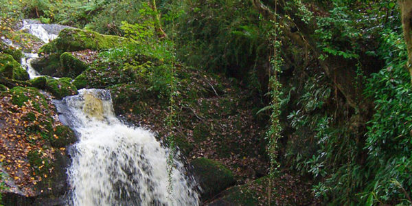 A private waterfall open to guests at Darrynane Self Catering Holiday Lets, whether on a short break or weekly stays